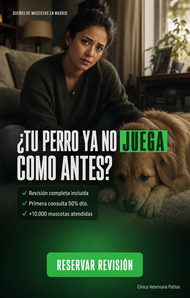 Ejemplo de anuncio generado por Garyon para veterinario
